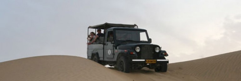 Jeep Safari in Rajasthan